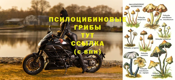 мескалин Аркадак