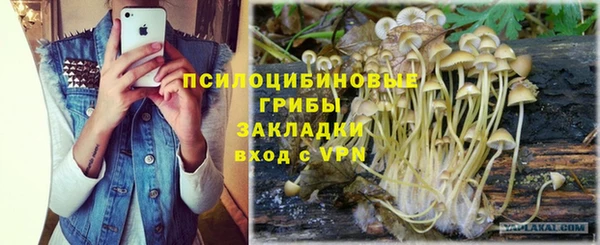 мескалин Аркадак